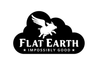 FLAT EARTH IMPOSSIBLY GOOD logo