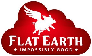 FLAT EARTH IMPOSSIBLY GOOD logo