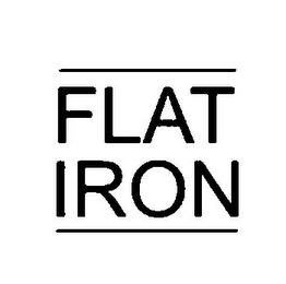 FLAT IRON logo
