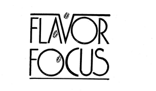 FLAVOR FOCUS logo