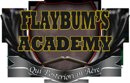 FLAYBUM'S ACADEMY QUI POSTERIORI IN AÈRE logo