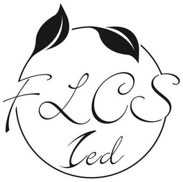 FLCSIED logo
