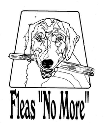 FLEAS "NO MORE" logo