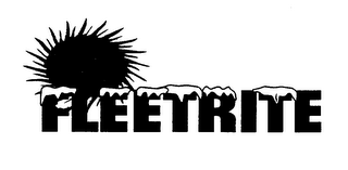 FLEETRITE logo