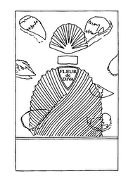 FLEUR DE DIVA logo