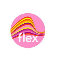FLEX logo