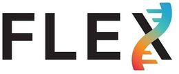 FLEX logo