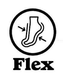 FLEX logo