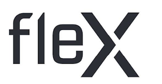 FLEX logo