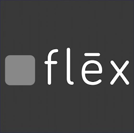 FLEX logo