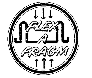 FLEX A FRAGM logo