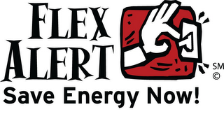 FLEX ALERT SAVE ENERGY NOW! logo