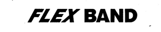 FLEX BAND logo