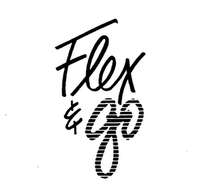 FLEX & GO logo