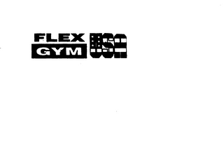 FLEX GYM USA logo