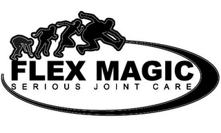 FLEX MAGIC SERIOUS JOINT CARE logo