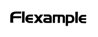 FLEXAMPLE logo