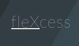FLEXCESS logo