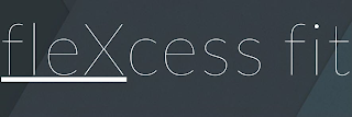 FLEXCESS FIT logo