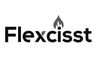 FLEXCISST logo