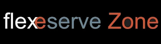 FLEXE SERVE ZONE logo