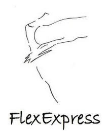 FLEXEXPRESS logo