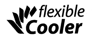 FLEXIBLE COOLER logo