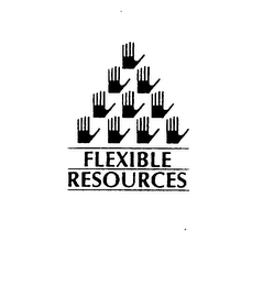 FLEXIBLE RESOURCES logo