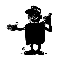 FLEXIM MR. FLEXIM logo