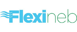 FLEXINEB logo