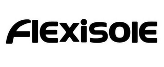 FLEXISOLE logo