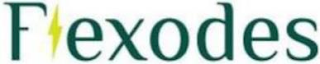 FLEXODES logo