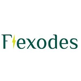 FLEXODES logo