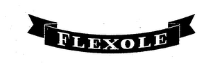 FLEXOLE logo