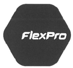 FLEXPRO logo