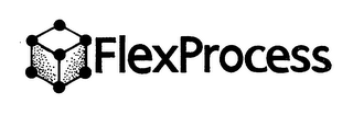 FLEXPROCESS logo