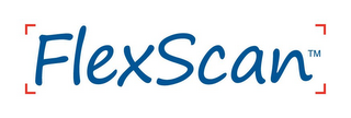 FLEXSCAN logo
