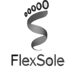 FLEXSOLE logo