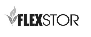 FLEXSTOR logo