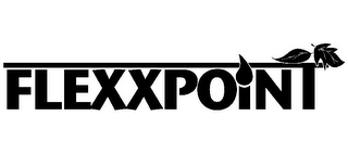 FLEXXPOINT logo