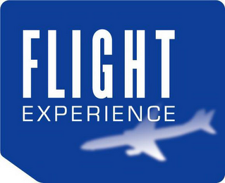 FLIGHT EXPERIENCE logo