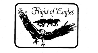 FLIGHT OF EAGLES logo