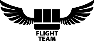 FLIGHT TEAM W logo