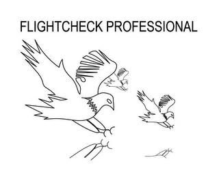 FLIGHTCHECK PROFESSIONAL logo