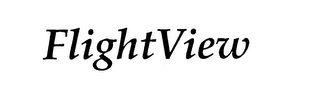 FLIGHTVIEW logo