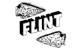 FLINT logo