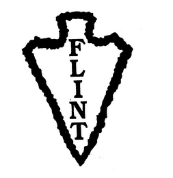 FLINT logo