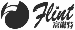 FLINT logo