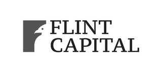 FLINT CAPITAL logo