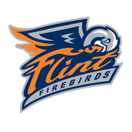 FLINT FIREBIRDS logo